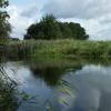 Potsdam Natura Trail FFH-Gebiet Nuthe 1
